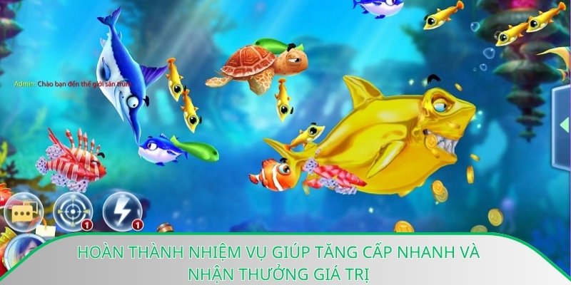 Hoàn thành nhiệm vụ giúp tăng cấp nhanh và nhận thưởng giá trị