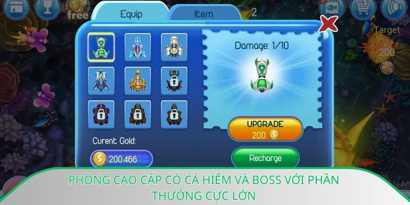 Phòng cao cấp có cá hiếm và boss với phần thưởng cực lớn