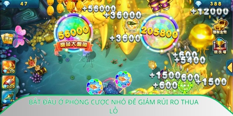 Bắt đầu ở phòng cược nhỏ để giảm rủi ro thua lỗ
