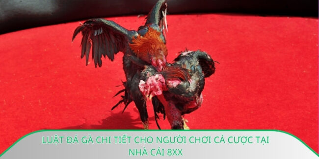 Luật đá gà