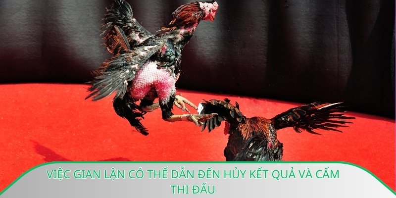 Việc gian lận có thể dẫn đến hủy kết quả và cấm thi đấu